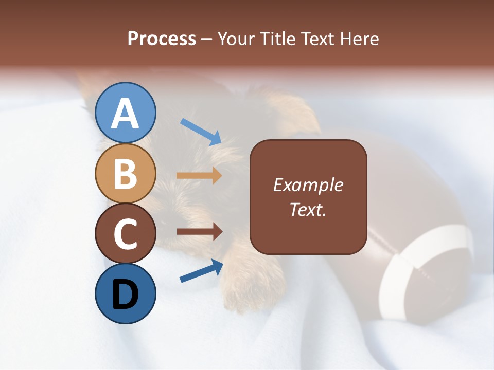 Woman Elderly Lifestyle PowerPoint Template