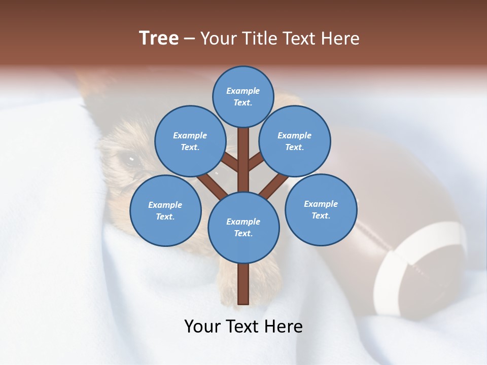 Woman Elderly Lifestyle PowerPoint Template