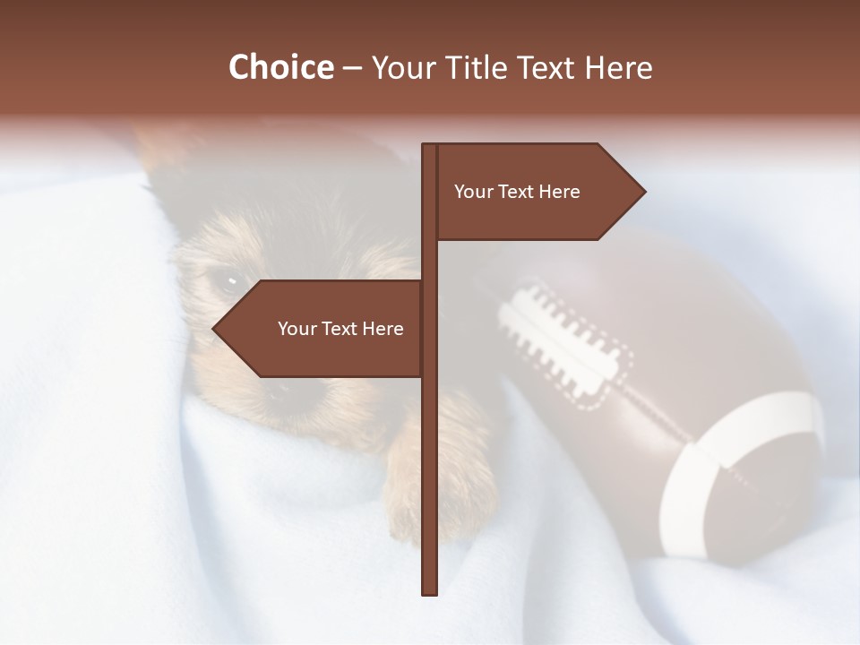 Woman Elderly Lifestyle PowerPoint Template