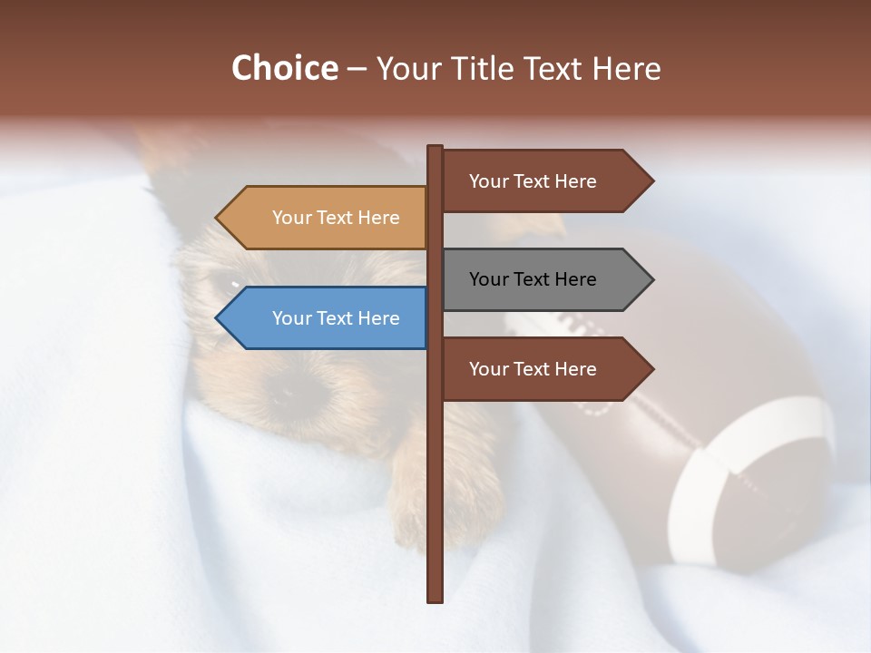 Woman Elderly Lifestyle PowerPoint Template