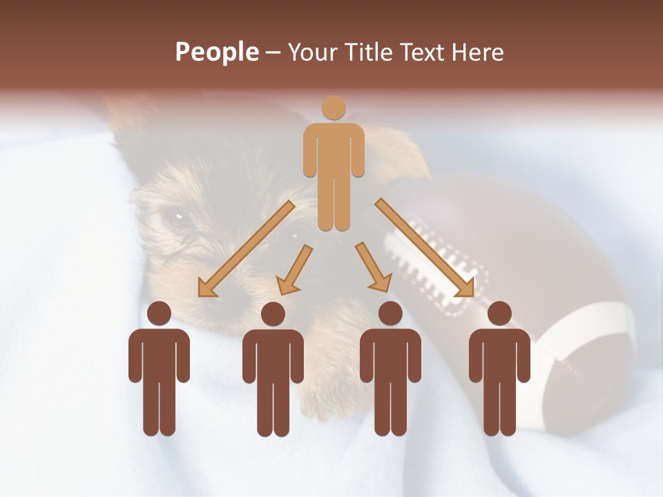 Woman Elderly Lifestyle PowerPoint Template