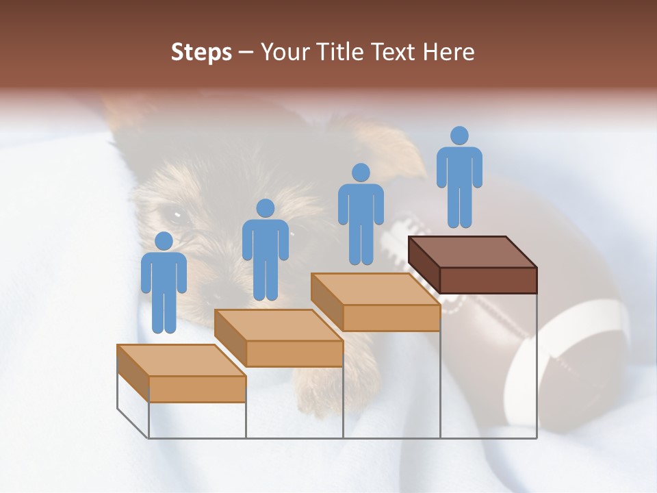 Woman Elderly Lifestyle PowerPoint Template