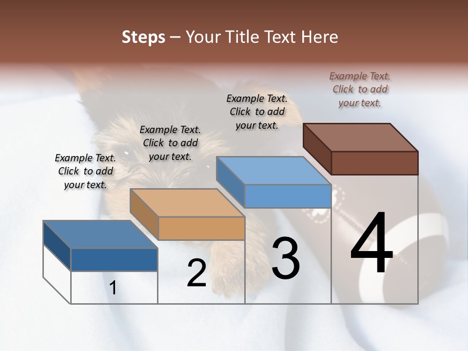 Woman Elderly Lifestyle PowerPoint Template