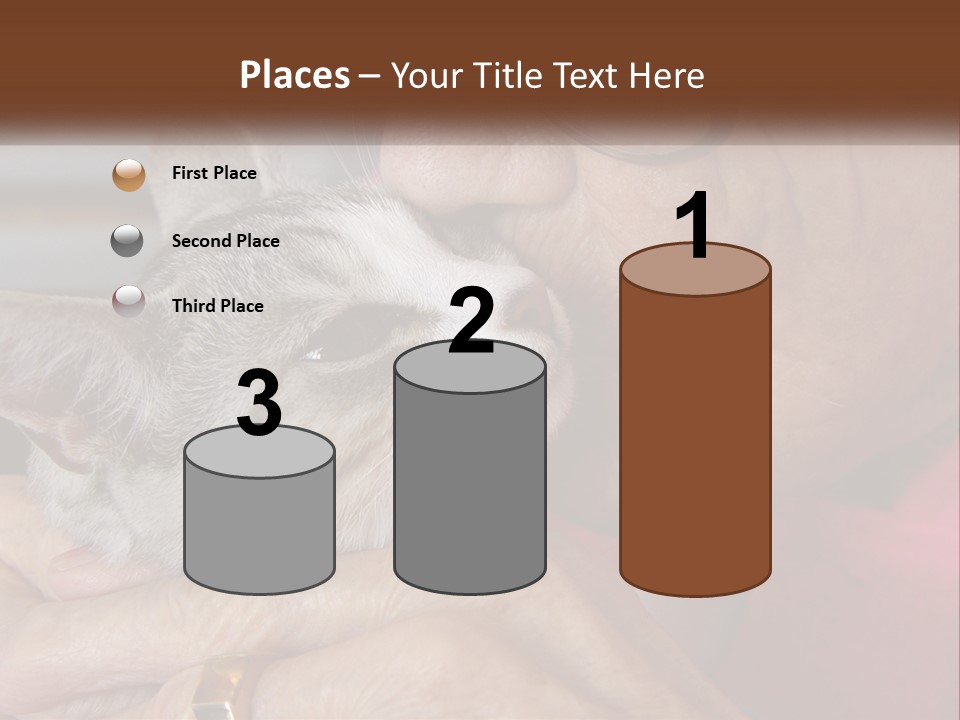 White Water Older PowerPoint Template