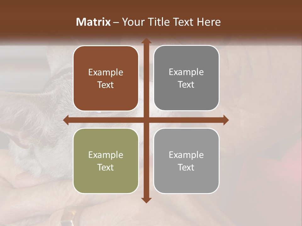 White Water Older PowerPoint Template