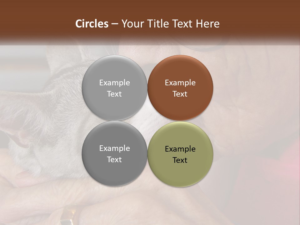 White Water Older PowerPoint Template