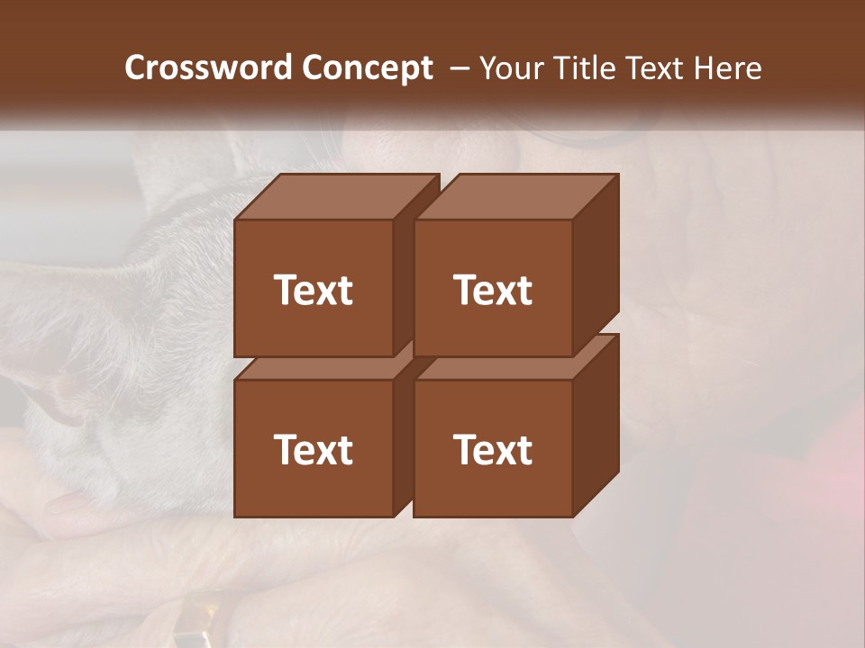 White Water Older PowerPoint Template