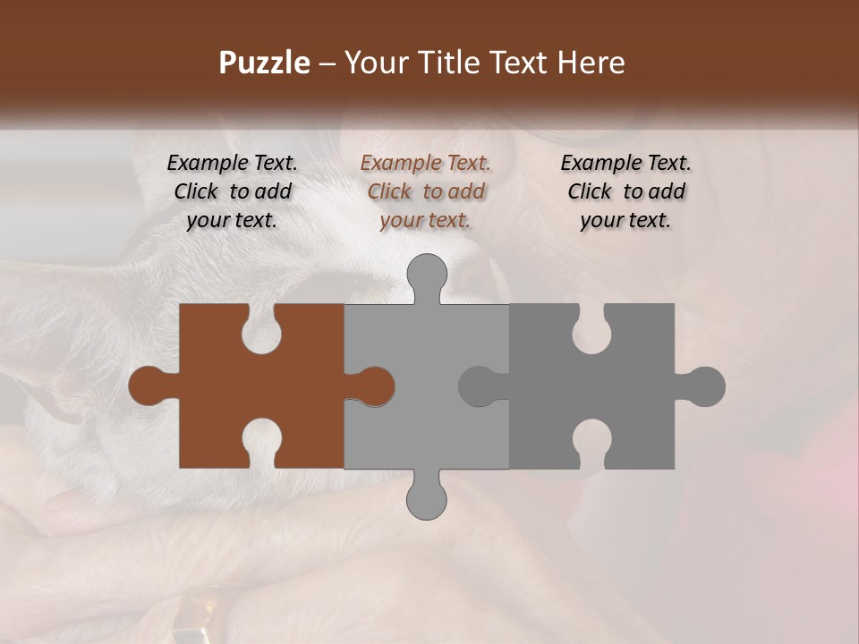 White Water Older PowerPoint Template