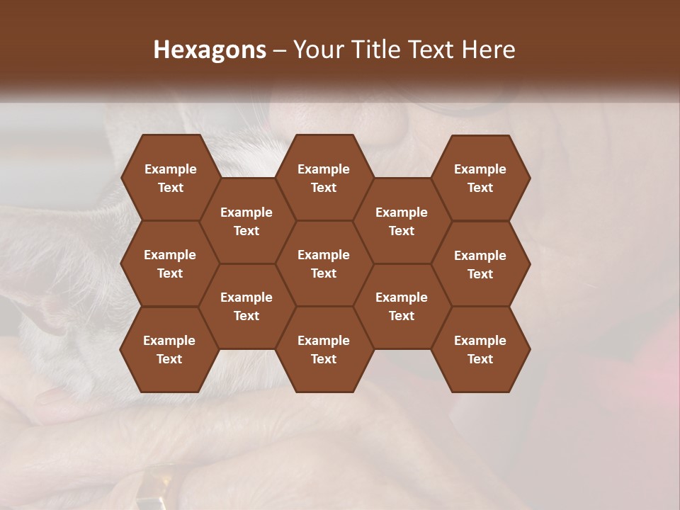 White Water Older PowerPoint Template