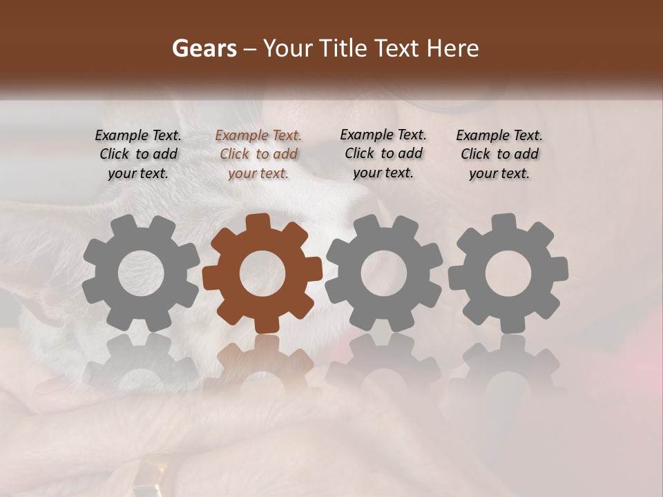 White Water Older PowerPoint Template