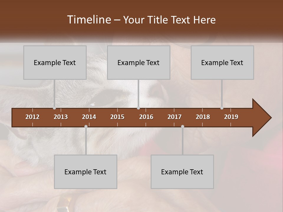 White Water Older PowerPoint Template