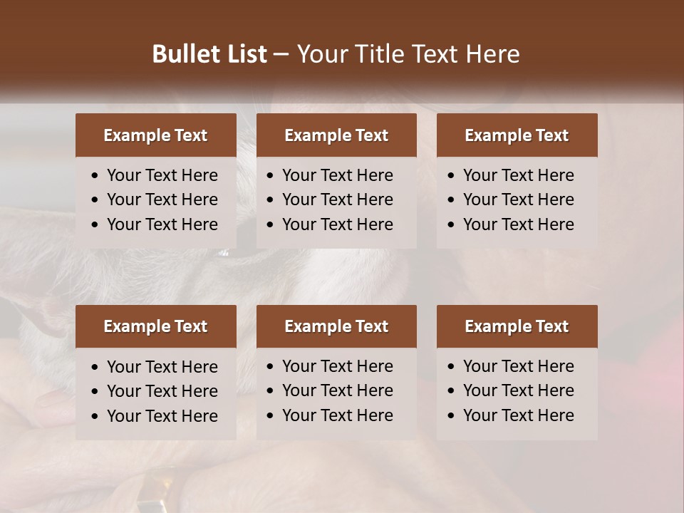 White Water Older PowerPoint Template