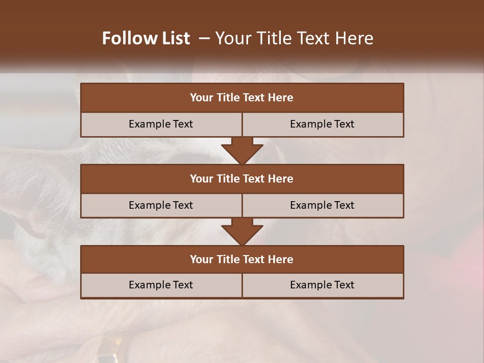 White Water Older PowerPoint Template