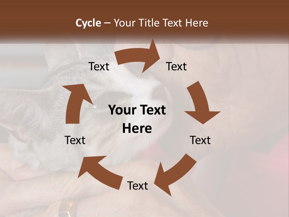 White Water Older PowerPoint Template