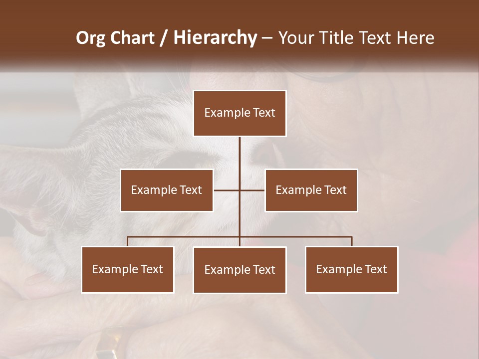 White Water Older PowerPoint Template