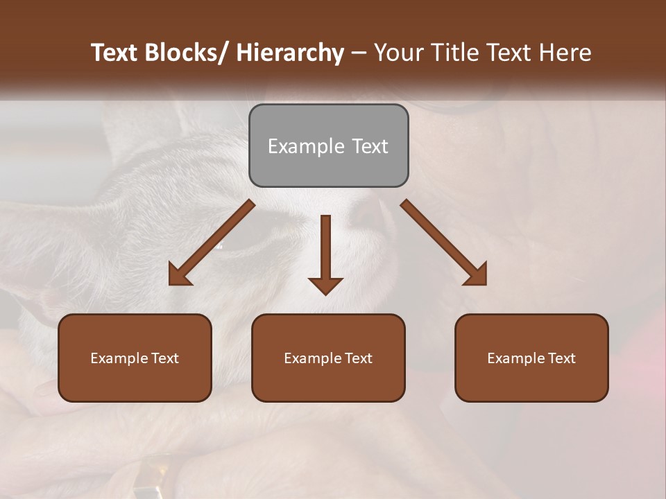 White Water Older PowerPoint Template