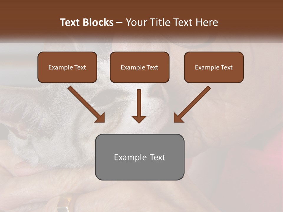 White Water Older PowerPoint Template