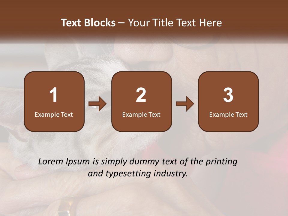 White Water Older PowerPoint Template