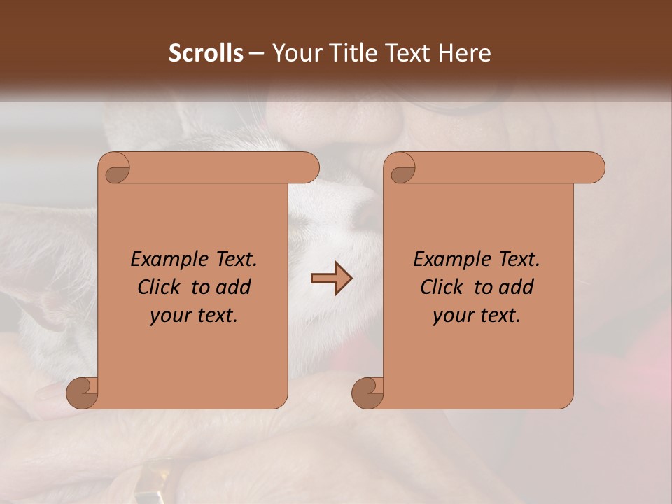 White Water Older PowerPoint Template