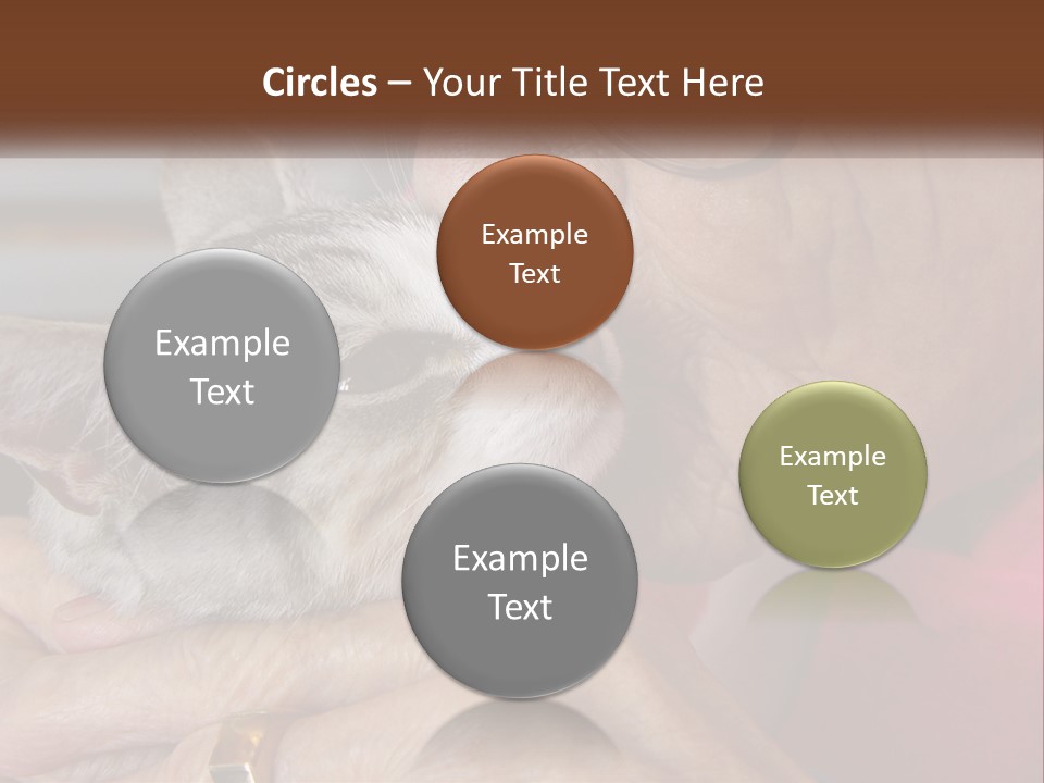 White Water Older PowerPoint Template