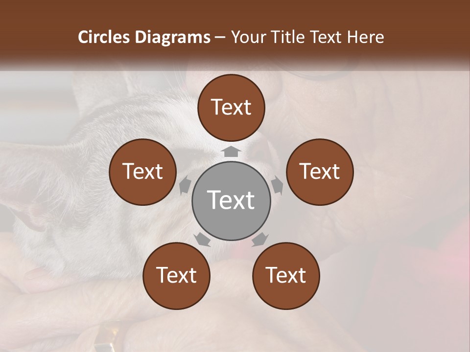 White Water Older PowerPoint Template