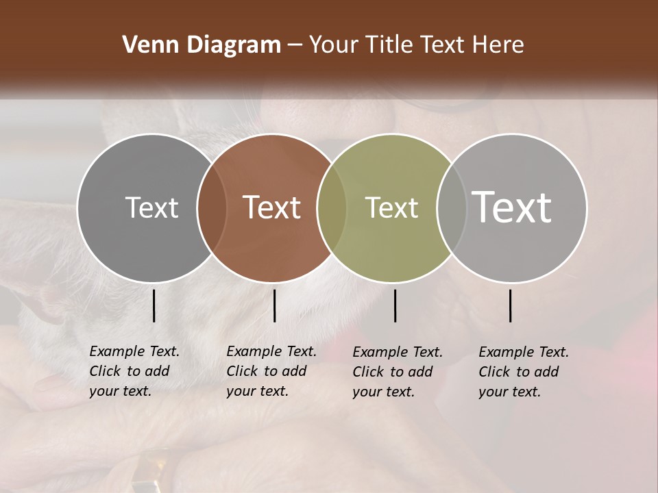 White Water Older PowerPoint Template