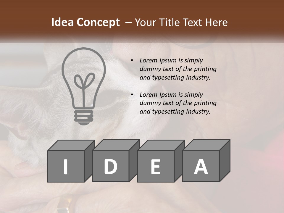 White Water Older PowerPoint Template