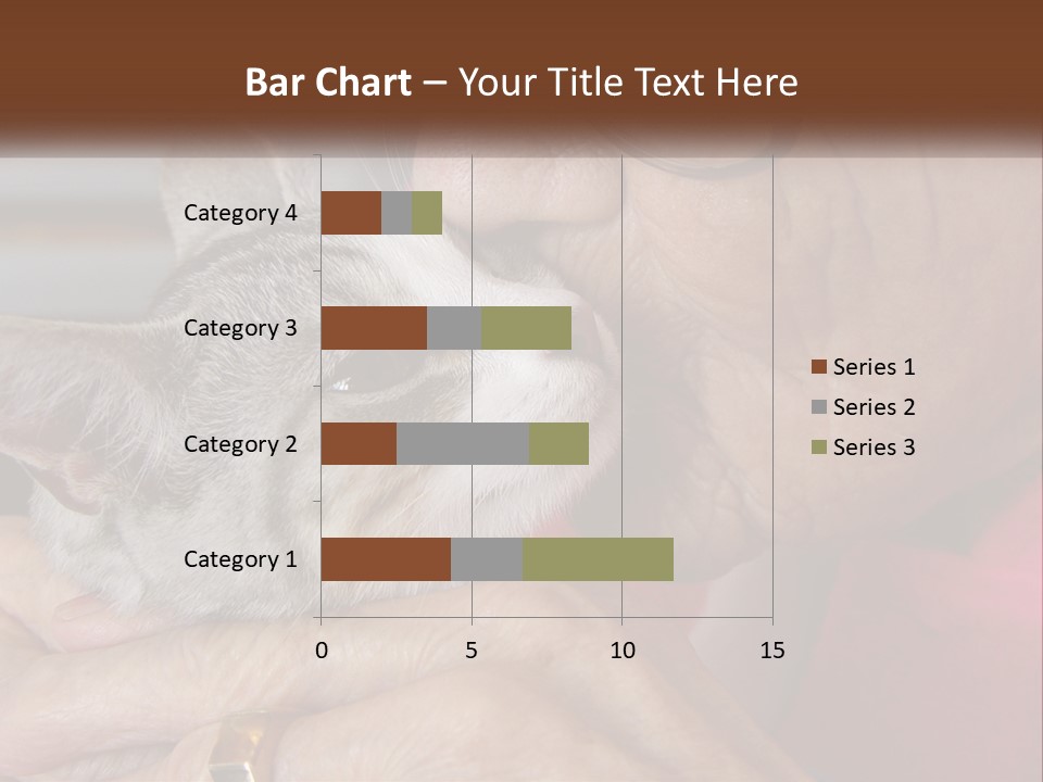 White Water Older PowerPoint Template