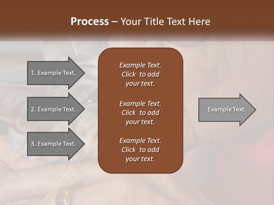 White Water Older PowerPoint Template