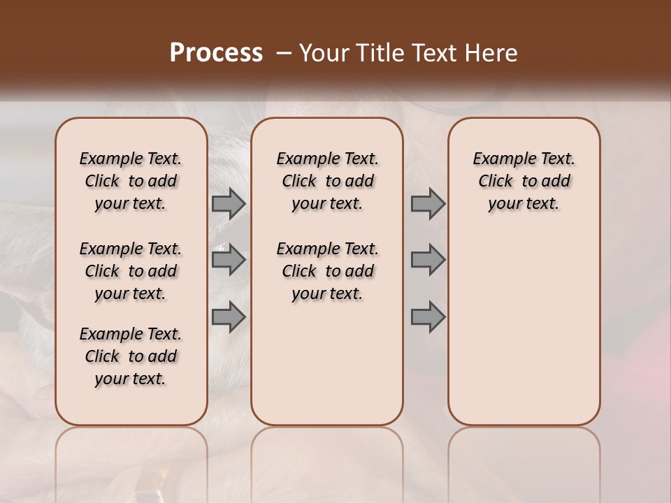White Water Older PowerPoint Template
