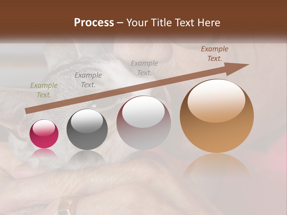 White Water Older PowerPoint Template