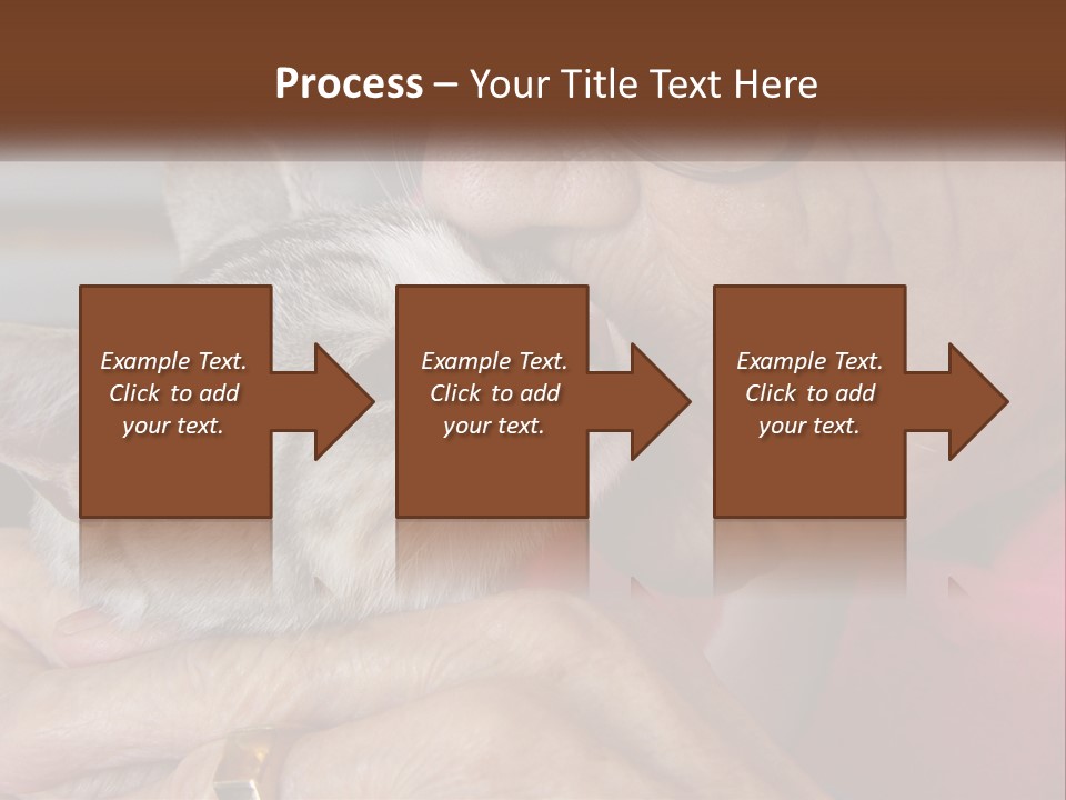 White Water Older PowerPoint Template