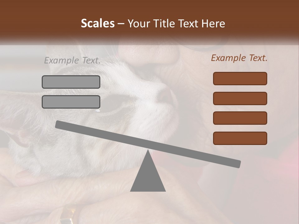 White Water Older PowerPoint Template