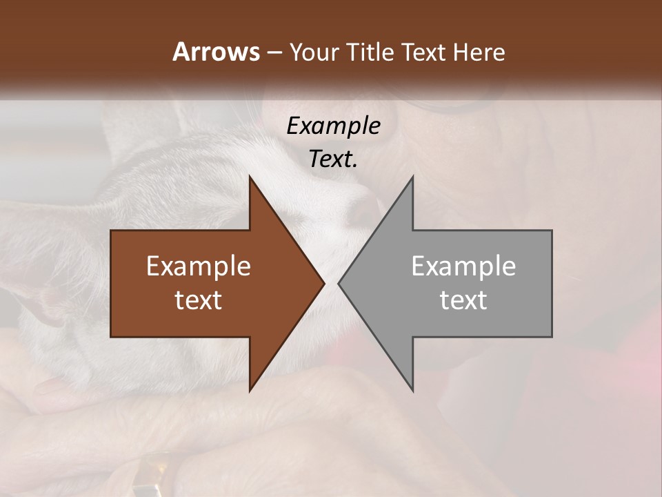 White Water Older PowerPoint Template