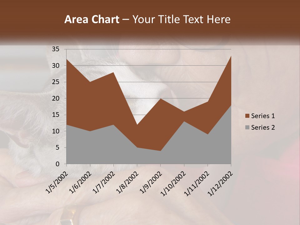 White Water Older PowerPoint Template