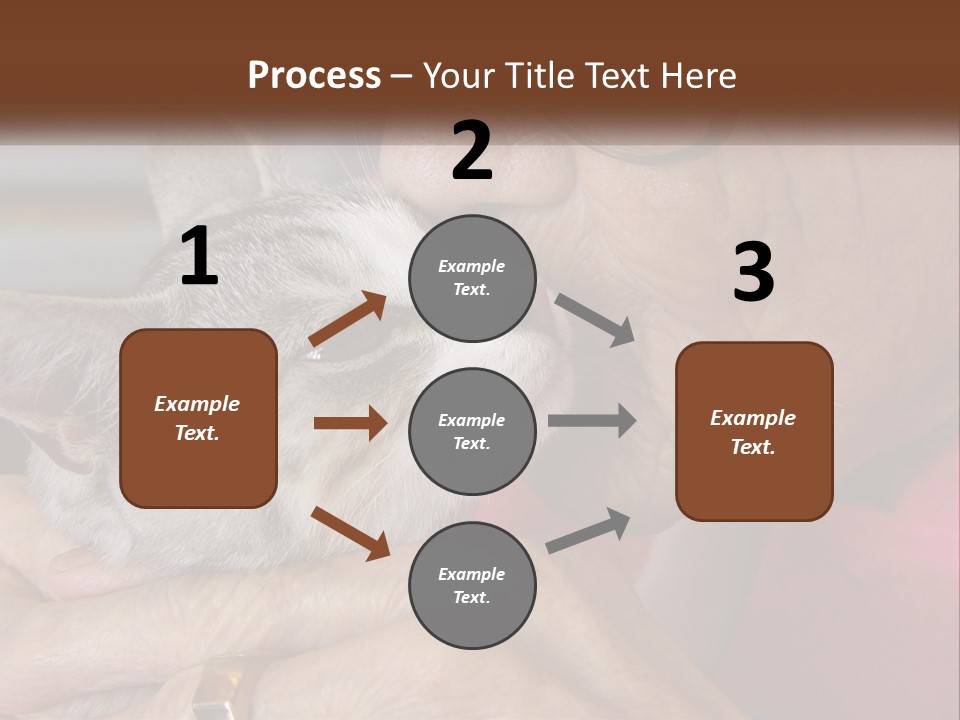 White Water Older PowerPoint Template