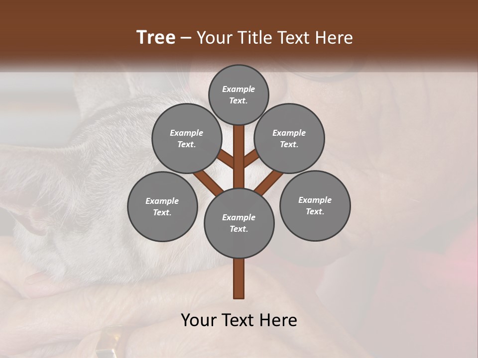 White Water Older PowerPoint Template