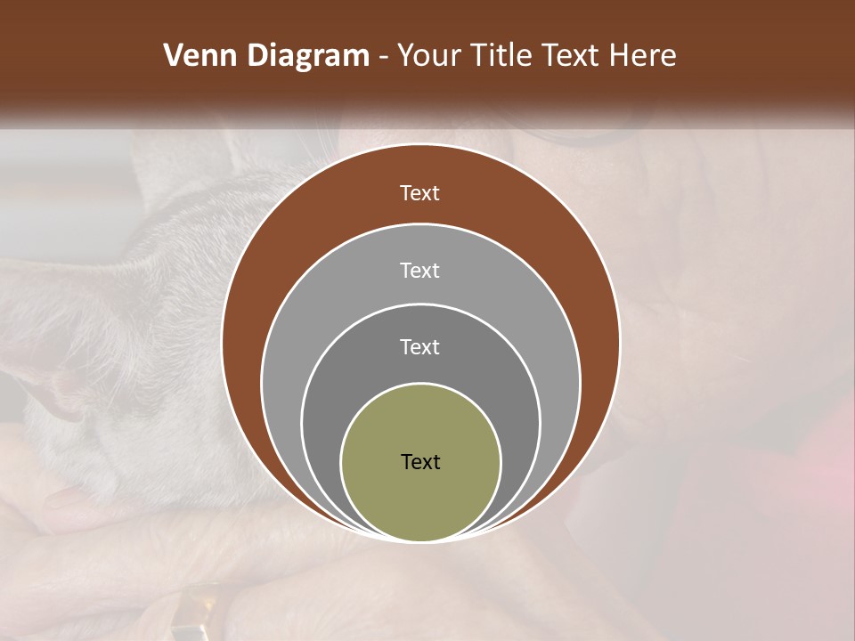 White Water Older PowerPoint Template