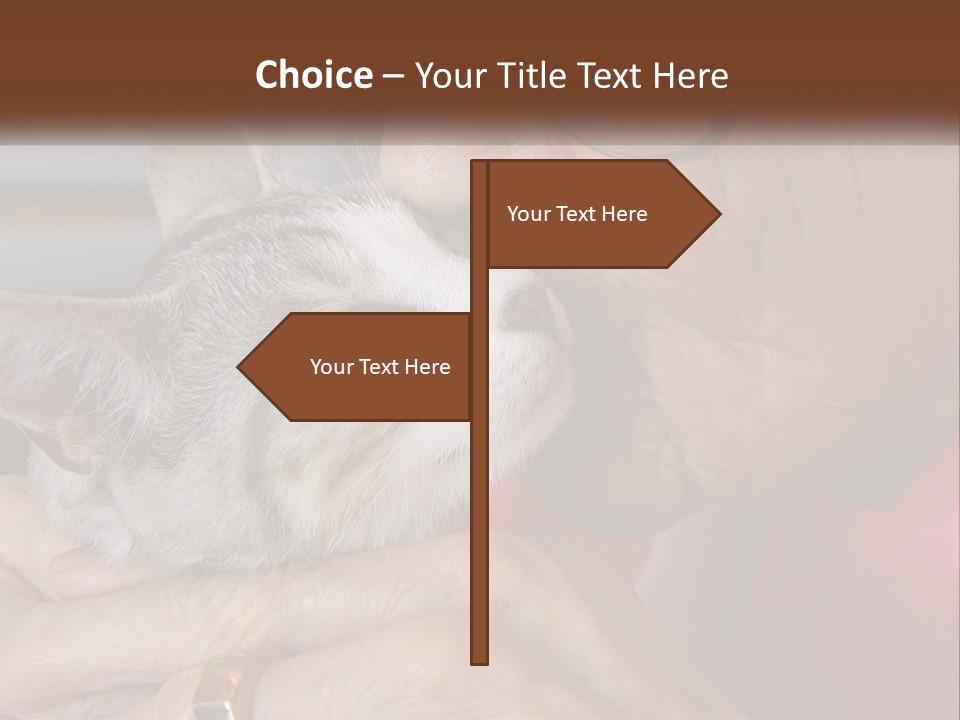 White Water Older PowerPoint Template