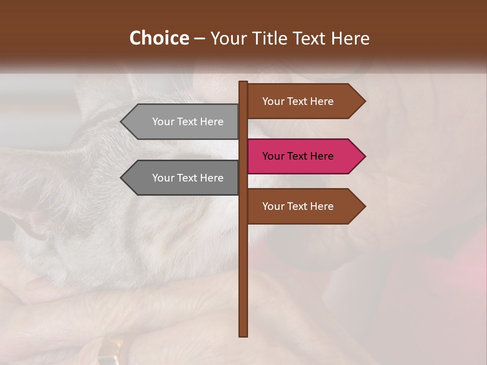 White Water Older PowerPoint Template