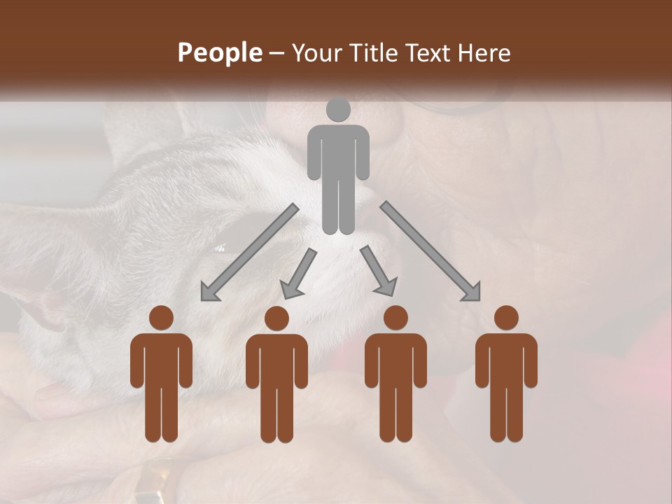 White Water Older PowerPoint Template