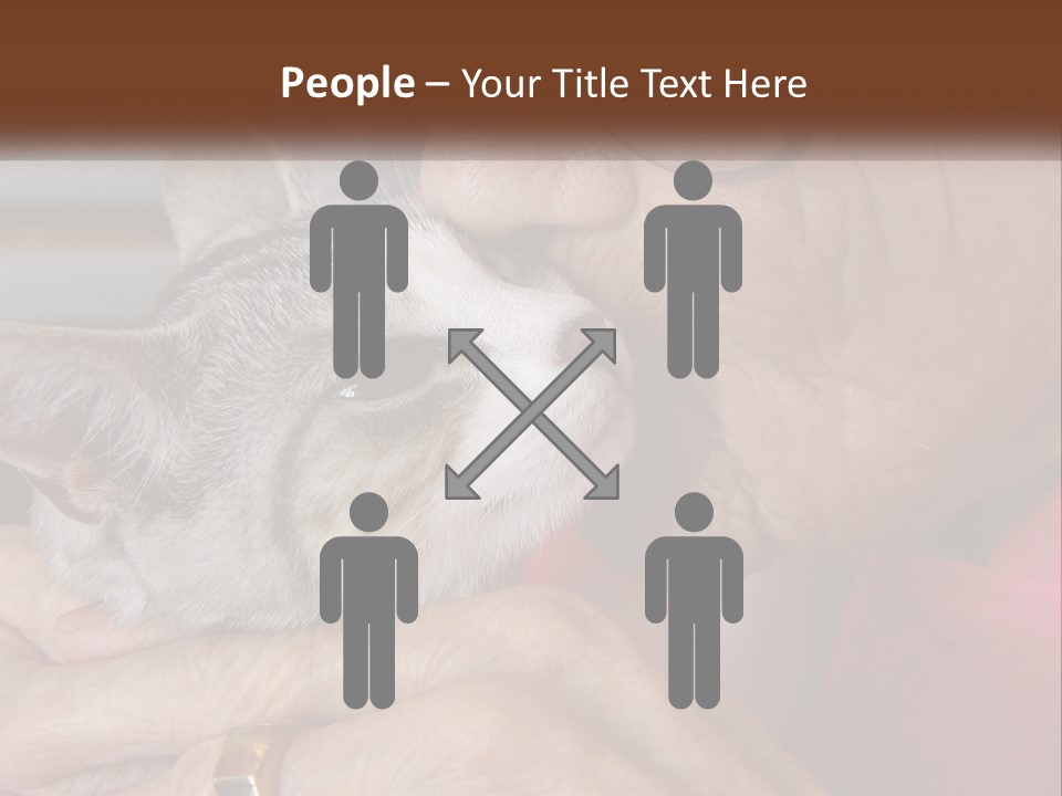 White Water Older PowerPoint Template