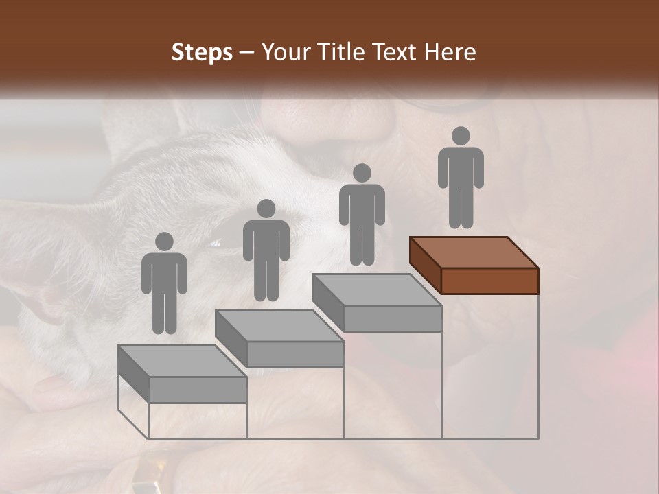 White Water Older PowerPoint Template