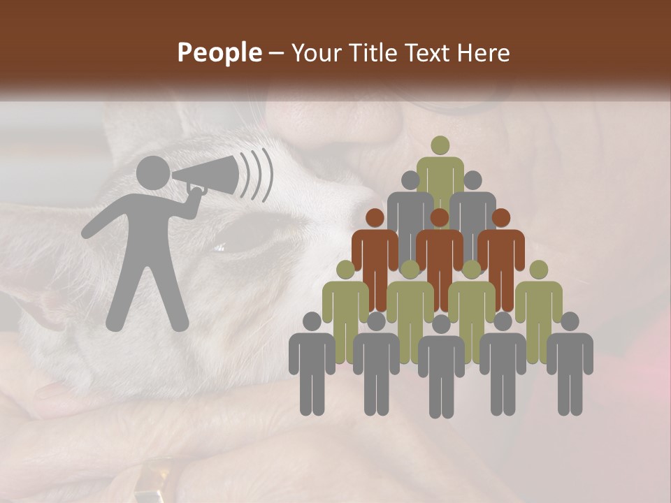 White Water Older PowerPoint Template