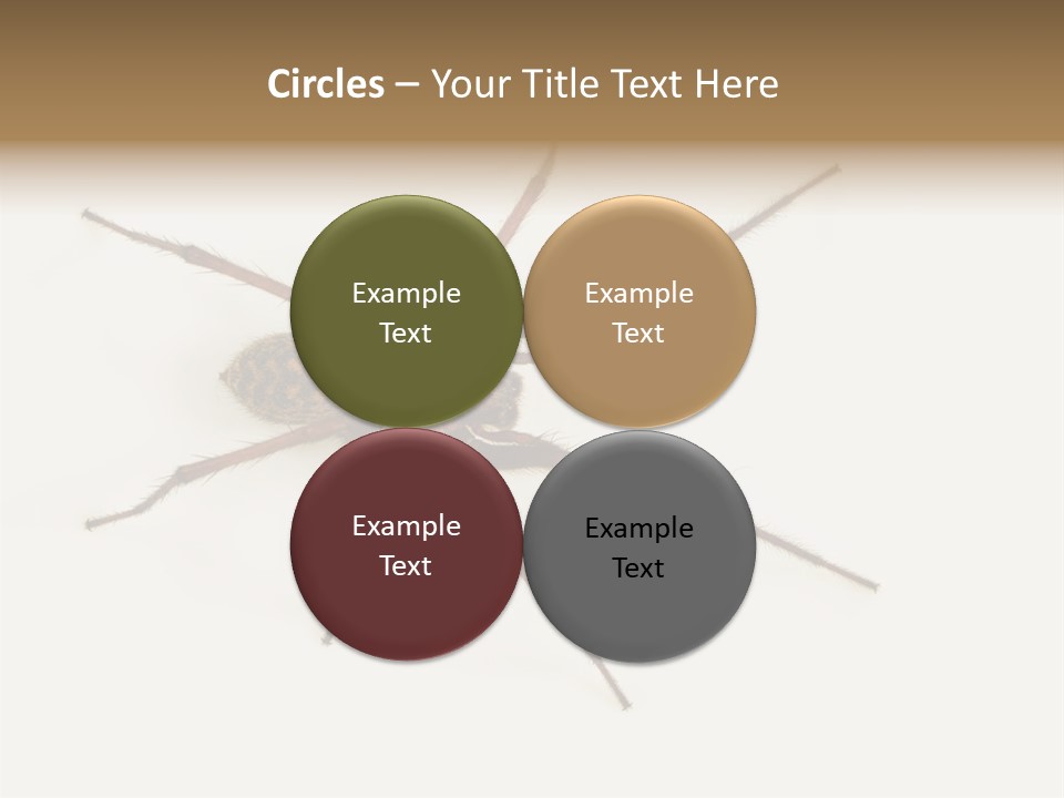 Beach Coastal Wellness PowerPoint Template