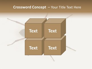 Beach Coastal Wellness PowerPoint Template