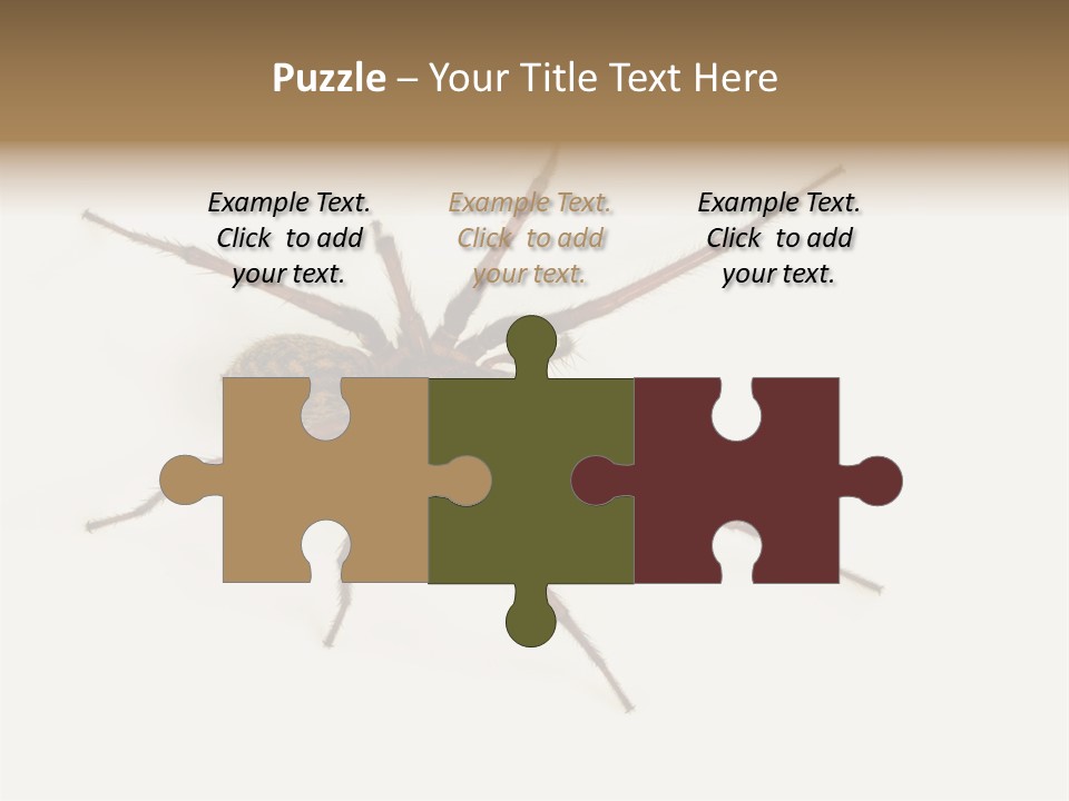 Beach Coastal Wellness PowerPoint Template