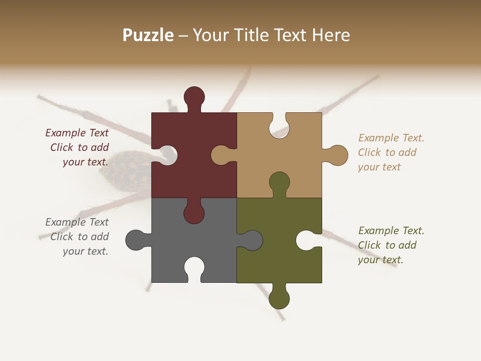 Beach Coastal Wellness PowerPoint Template