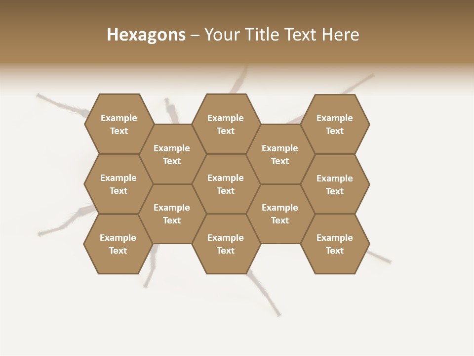 Beach Coastal Wellness PowerPoint Template