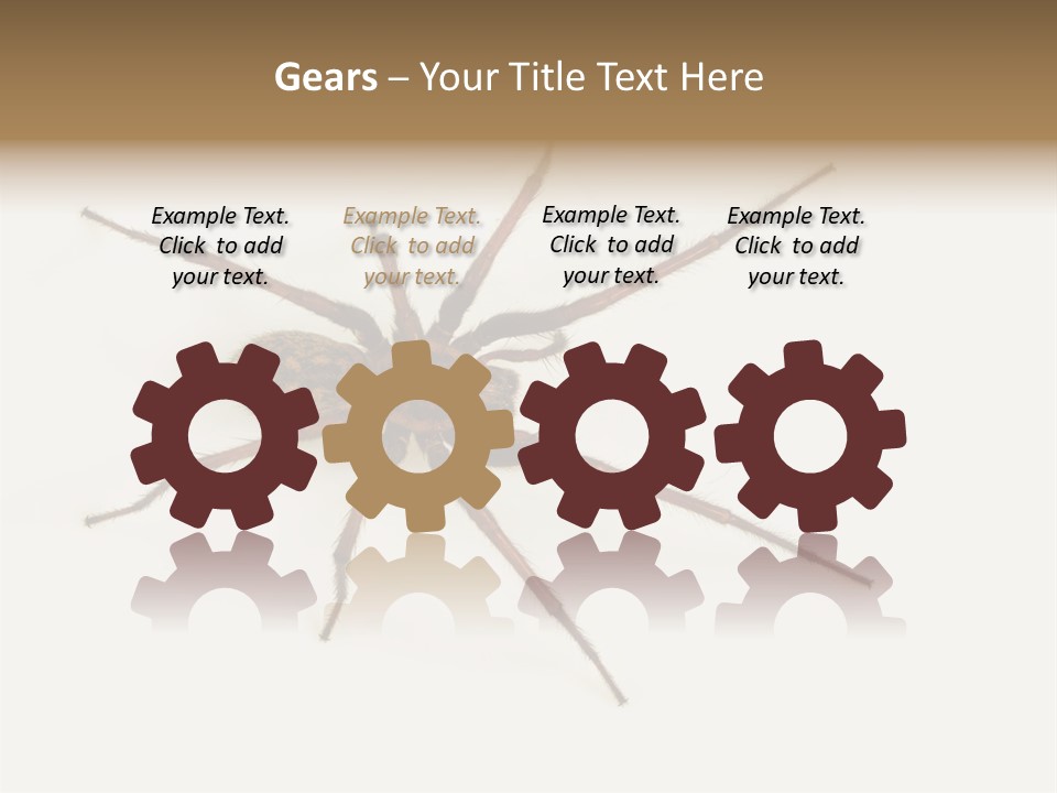 Beach Coastal Wellness PowerPoint Template